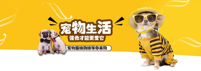 TPWallet钱包安卓版